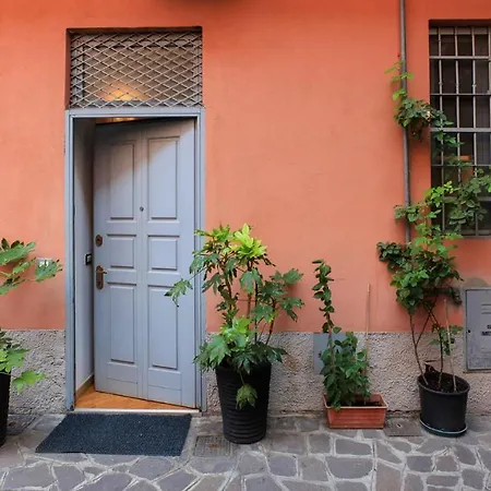 Plum Guide - Clay Window *